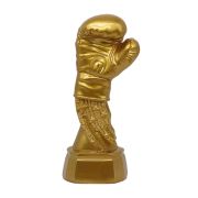 golden gloves boxing award​