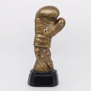 golden gloves boxing award​