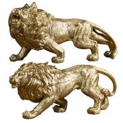 golden lion award​