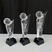 golfer trophy​