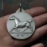 horse medallion