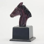 horse show awards