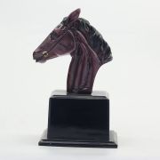 horse show awards
