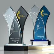 joy film awards