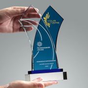 joy film awards