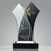 joy film awards