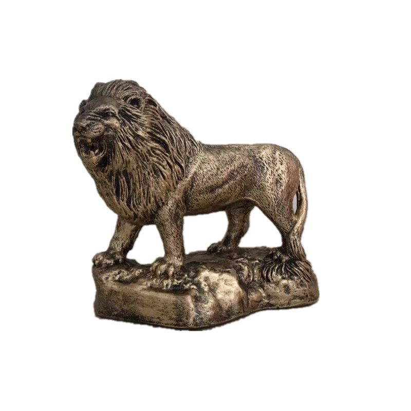 lions club awards​