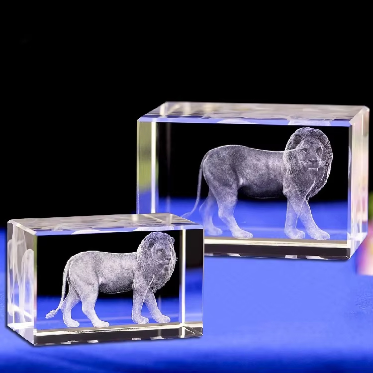 lions club awards​