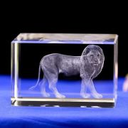 lions club awards​