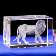 lions club awards​