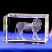 lions club awards​