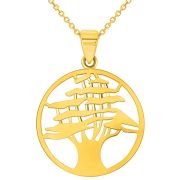 mens gold medallion