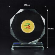 mirror ball trophy
