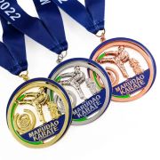 olympic taekwondo medals​