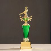 pigeon trophy design