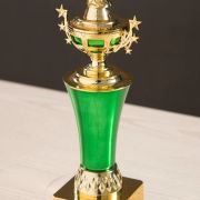 pigeon trophy design