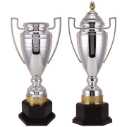 silver trophies