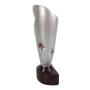softball team softball award ideas