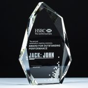 spelling bee trophy​