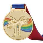 taekwondo gold medal​