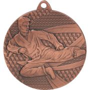 taekwondo gold medal