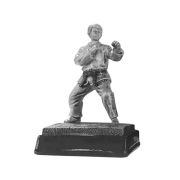 taekwondo trophy