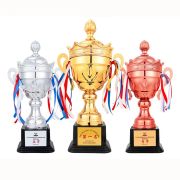 taekwondo trophy