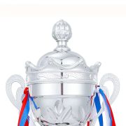 taekwondo trophy