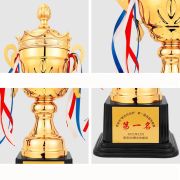 taekwondo trophy