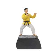 taekwondo trophy