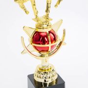 taekwondo trophy​