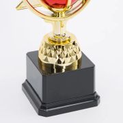 taekwondo trophy​