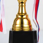 track and field university athletics awards​