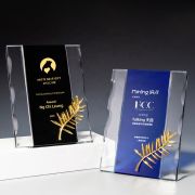 trophies and plaques​
