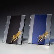 trophies and plaques​