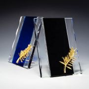 trophies and plaques​