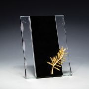 trophies and plaques​