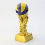 volleyball end of season award ideas​