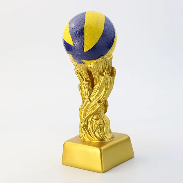 volleyball end of season award ideas​