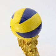 volleyball end of season award ideas​