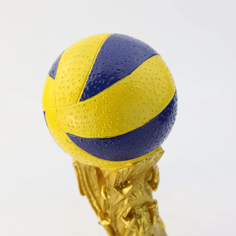 volleyball end of season award ideas​