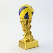 volleyball end of season award ideas​