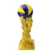 volleyball end of season award ideas​