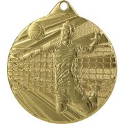 volleyball gold medal
