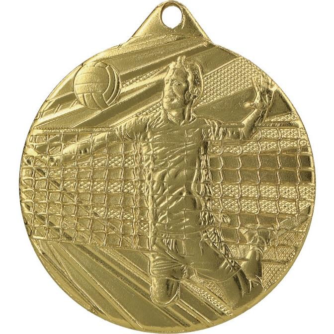 volleyball gold medal