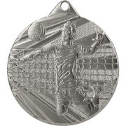 volleyball gold medal