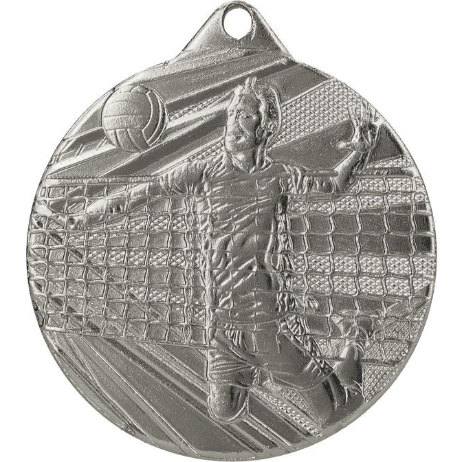 volleyball gold medal