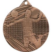 volleyball gold medal