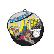 volleyball medal​